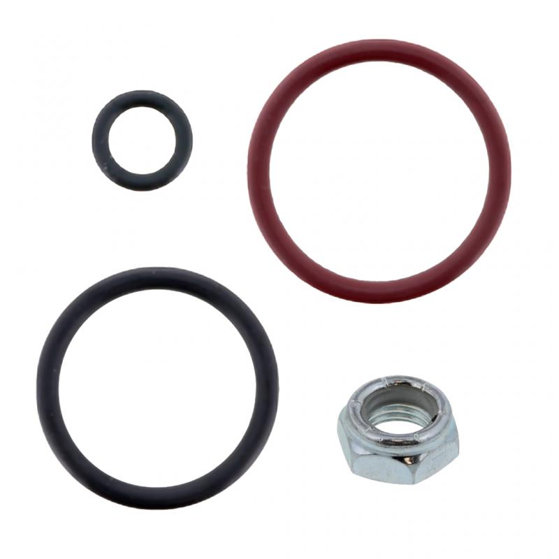 PAI INDUSTRIES - EF39810 - O-RINGKIT REPLACES FULLER K-1451