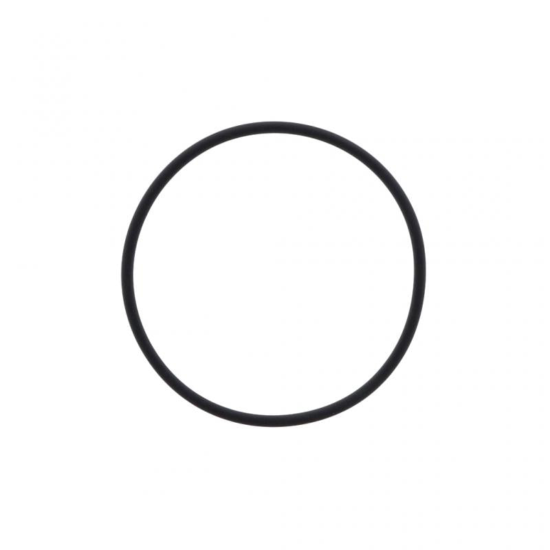 PAI INDUSTRIES - EGA-3173 - O-RING (10PCS) REPLACES MACK 446GC2134