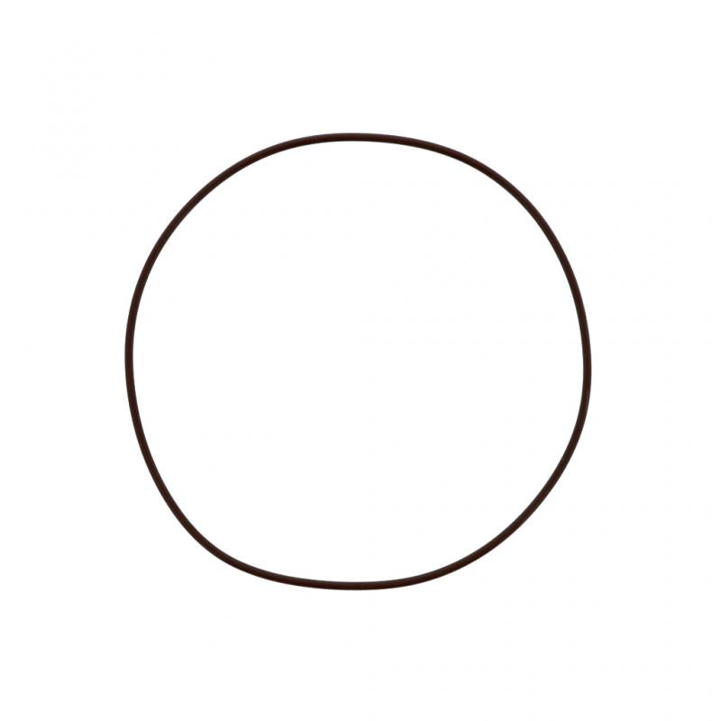 PAI INDUSTRIES - EGS-3900-027 - O-RING (5PCS) REPLACES MACK 56AX456