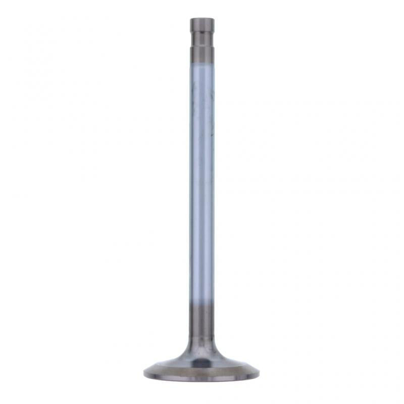 PAI INDUSTRIES - EM81300 - INTAKE VALVE (2PCS) REPLACES MACK 690GC2187B