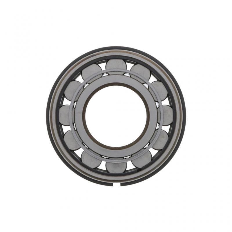 PAI INDUSTRIES - EM89650 - BEARING REPLACES FULLER 4304080