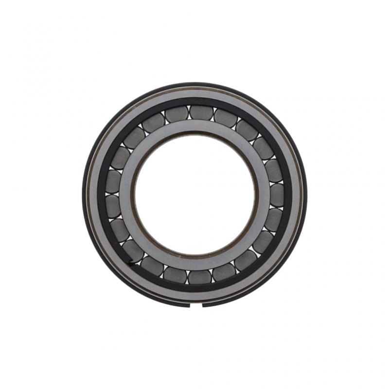 PAI INDUSTRIES - EM89660 - BEARING REPLACES FULLER 4301417