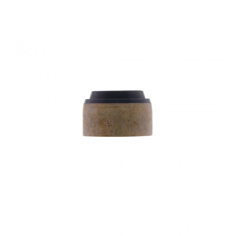 PAI INDUSTRIES - EOS-0442 - VALVE SEAL (12PCS) REPLACES MACK 446GC279
