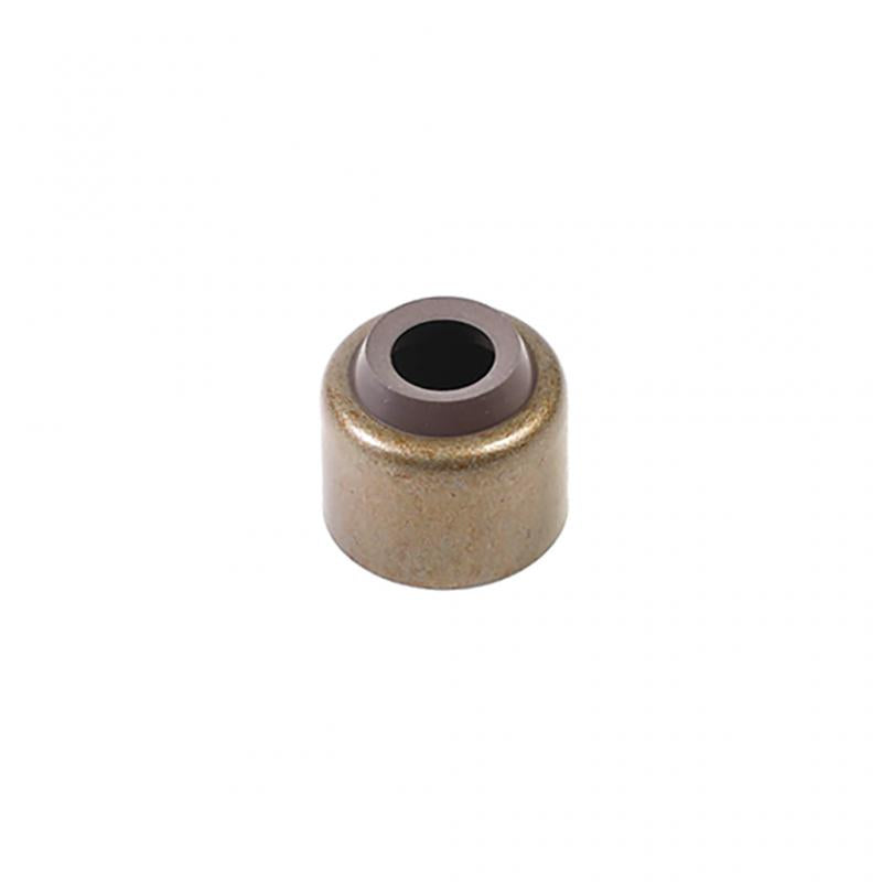 PAI INDUSTRIES - EOS-0443 - VALVE SEAL (12PCS) REPLACES MACK 446GC328
