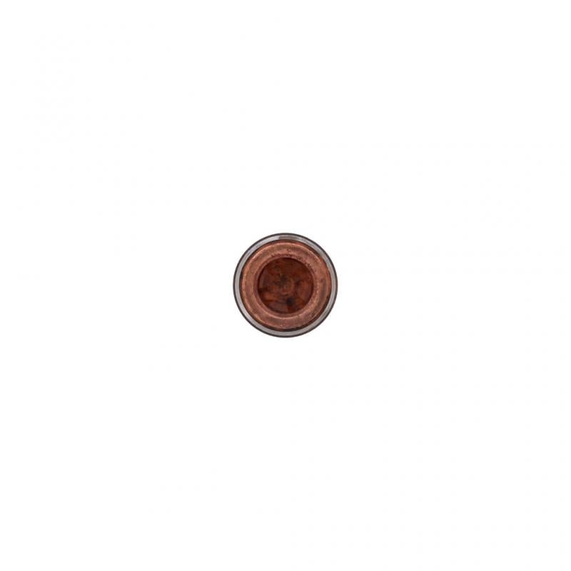 PAI INDUSTRIES - EPL-2061 - VALVE PLUNGER REPLACES MACK 296GC135