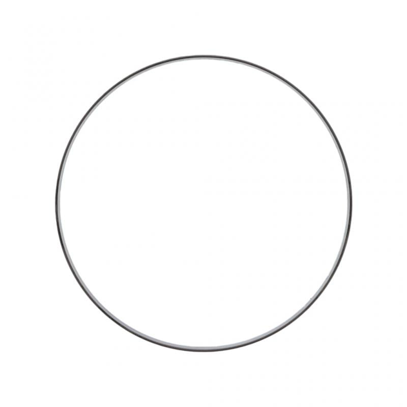 PAI INDUSTRIES - ERG-3790 - CRANKSHAFT WEAR RING REPLACES MACK 532GC220B