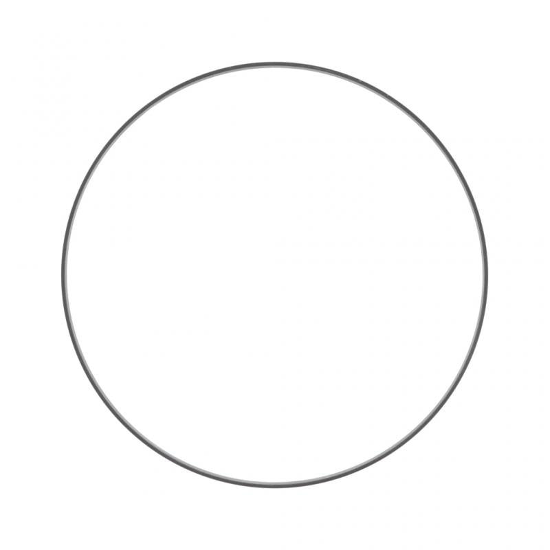 PAI INDUSTRIES - ERG-3791 - WEAR RING REPLACES MACK 532GC222A