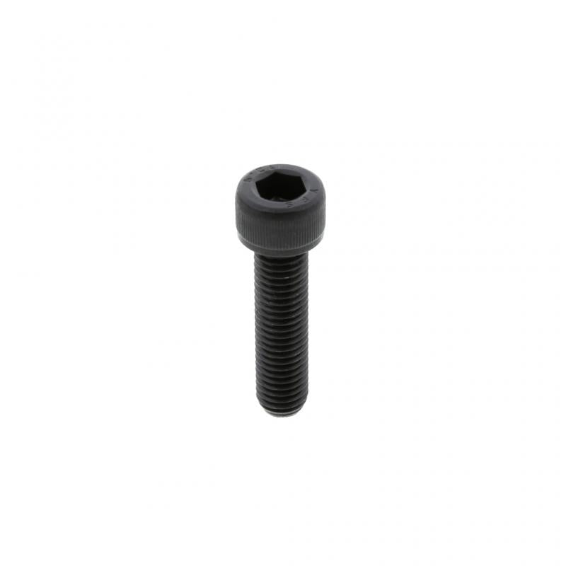 PAI INDUSTRIES - ESC-0338 - SCREW (6PCS) REPLACES MACK 421GC2123M