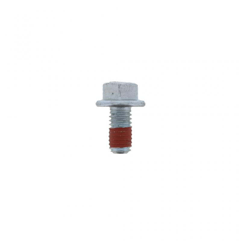 PAI INDUSTRIES - ESC-0854 - SCREW (10PCS) REPLACES MACK 6AX1591