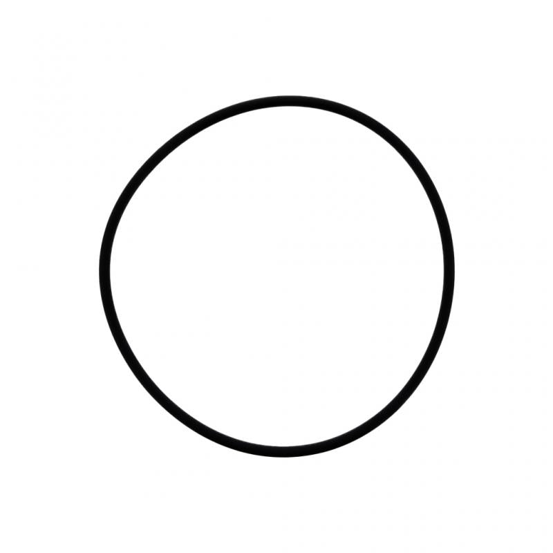 PAI INDUSTRIES - ESE-8962 - O-RING (5PCS) REPLACES MACK 446GC225A