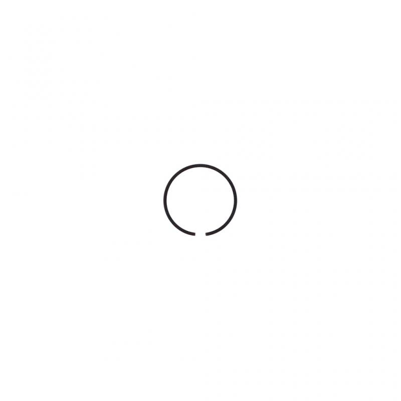 PAI INDUSTRIES - ESR-2897 - RETAINING RING (5PCS) REPLACES SCHWITZER 128936