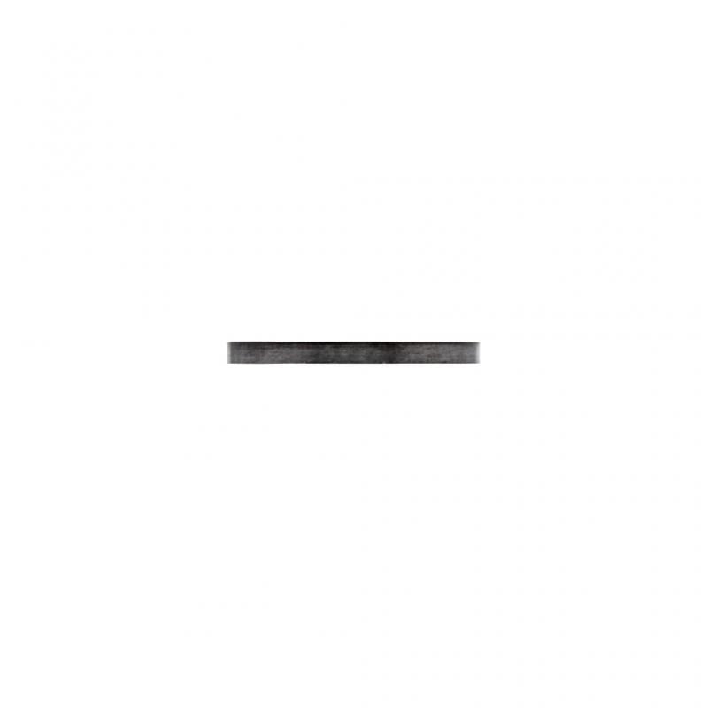 PAI INDUSTRIES - ETR-2950 - THRUST RING (5PCS) REPLACES MACK 343SB80