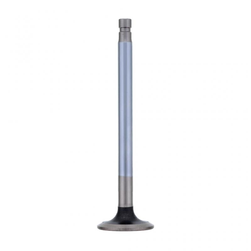 PAI INDUSTRIES - EVA-8141 - EXHAUST VALVE (6PCS) REPLACES MACK 688GC337A