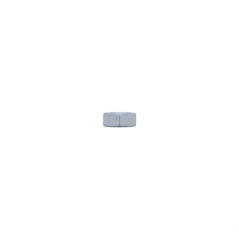 PAI INDUSTRIES - FNU-0276 - NUT (20PCS) REPLACES MACK 20AX1