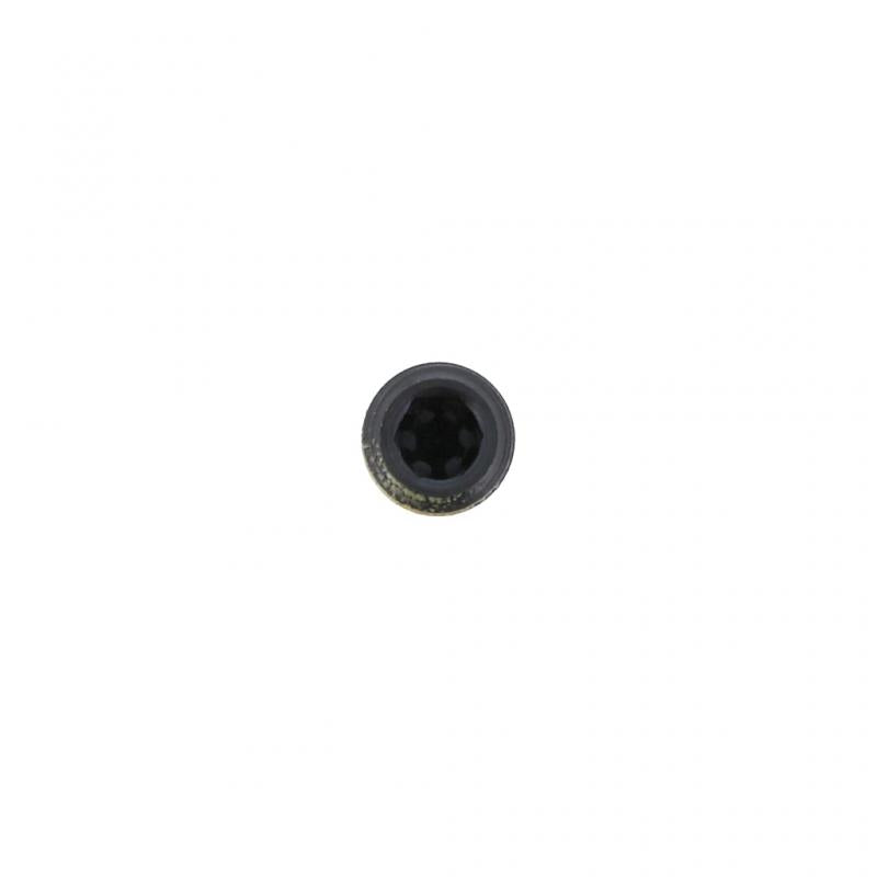 PAI INDUSTRIES - FSS-0155 - SCREW (5PCS) REPLACES MACK 8226-L8MN60