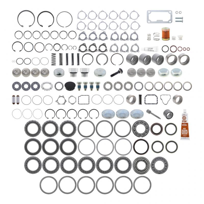 PAI INDUSTRIES - GBK-8957 - BEARING AND SEAL KIT