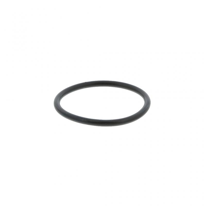 PAI INDUSTRIES - GGA-2935 - O-RING (10PCS) REPLACES MACK 56AX560