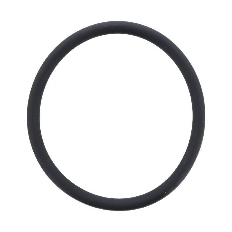 PAI INDUSTRIES - GGA-2951 - O-RING (10PCS) REPLACES MACK 56AX513
