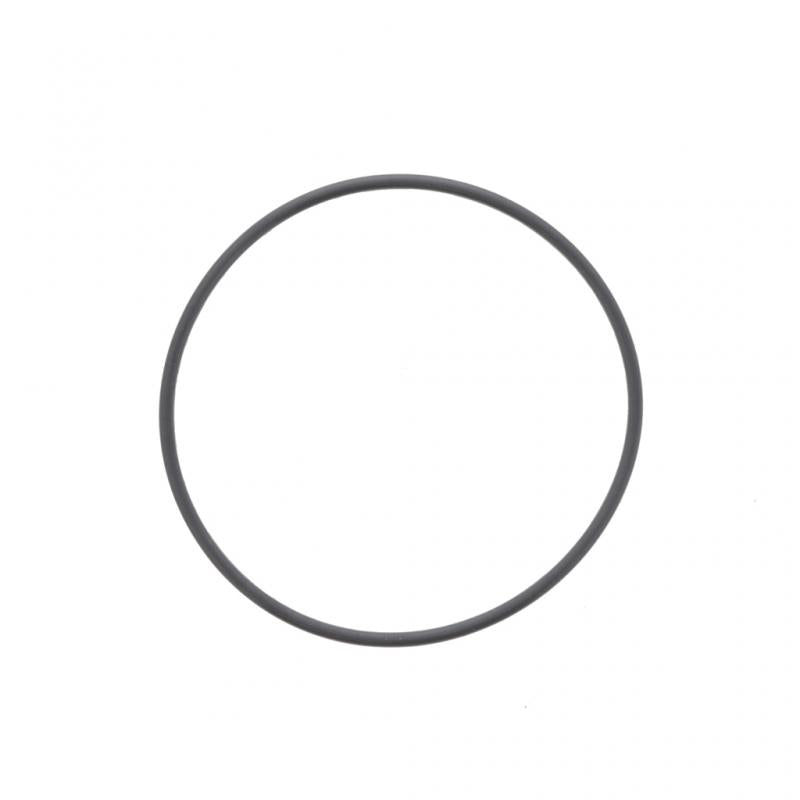 PAI INDUSTRIES - GGA-2991 - O-RING (10PCS) REPLACES MACK 56AX352