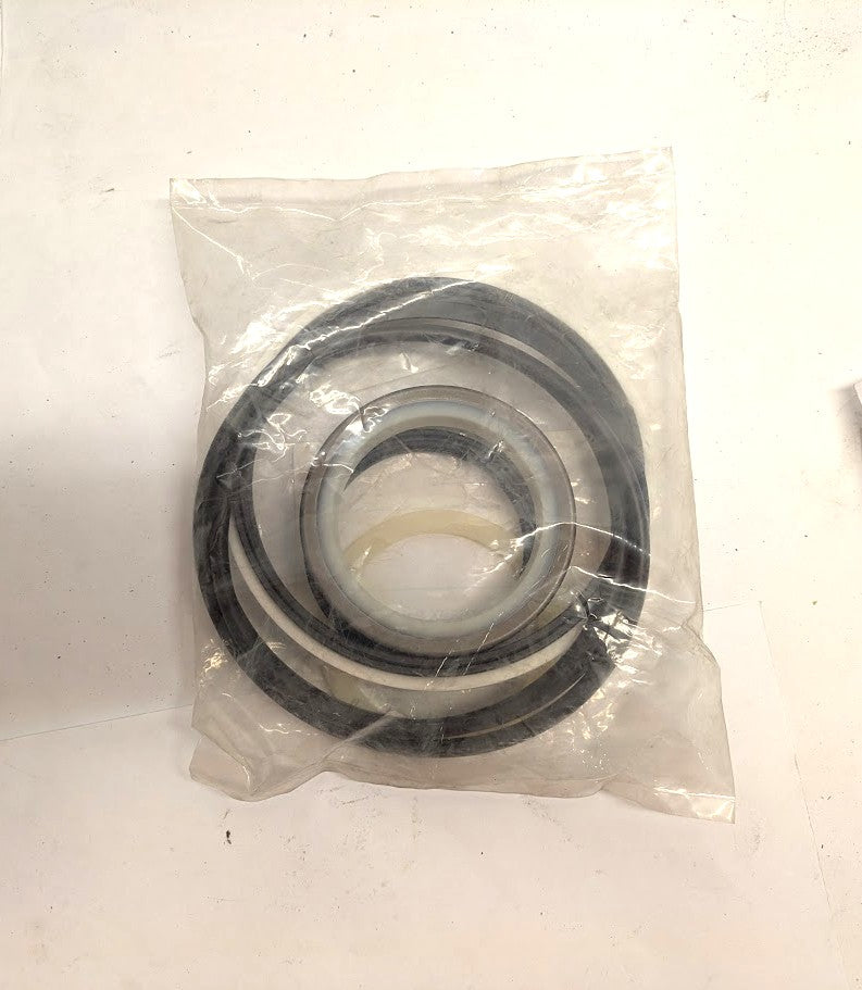 TEREX - 15050395 - SEAL KIT
