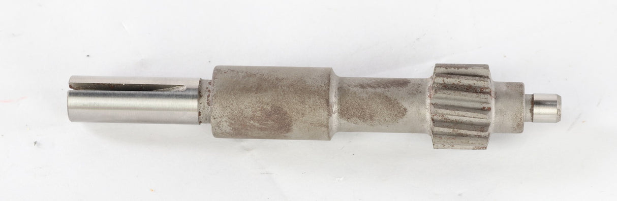 DANA SPICER - 244662 - SPEEDO GEAR