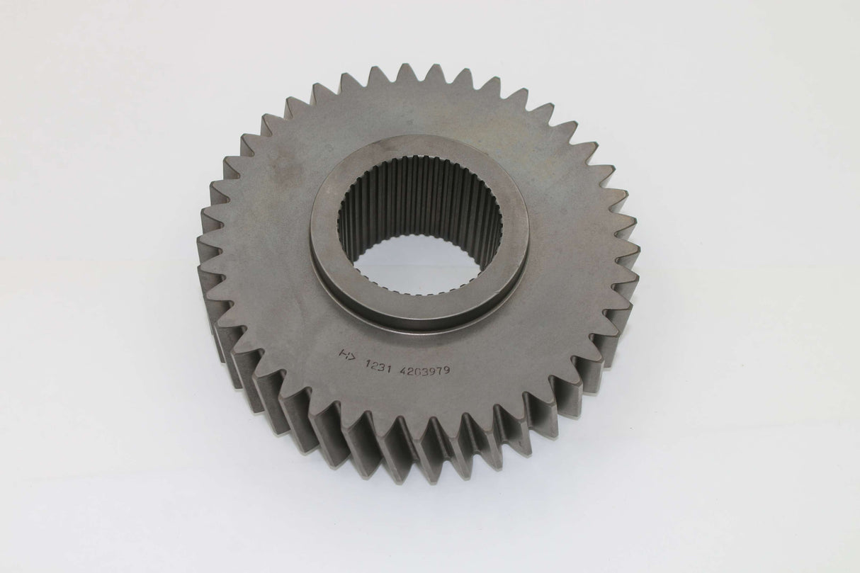 DANA SPICER - 4203979 - GEAR 41T