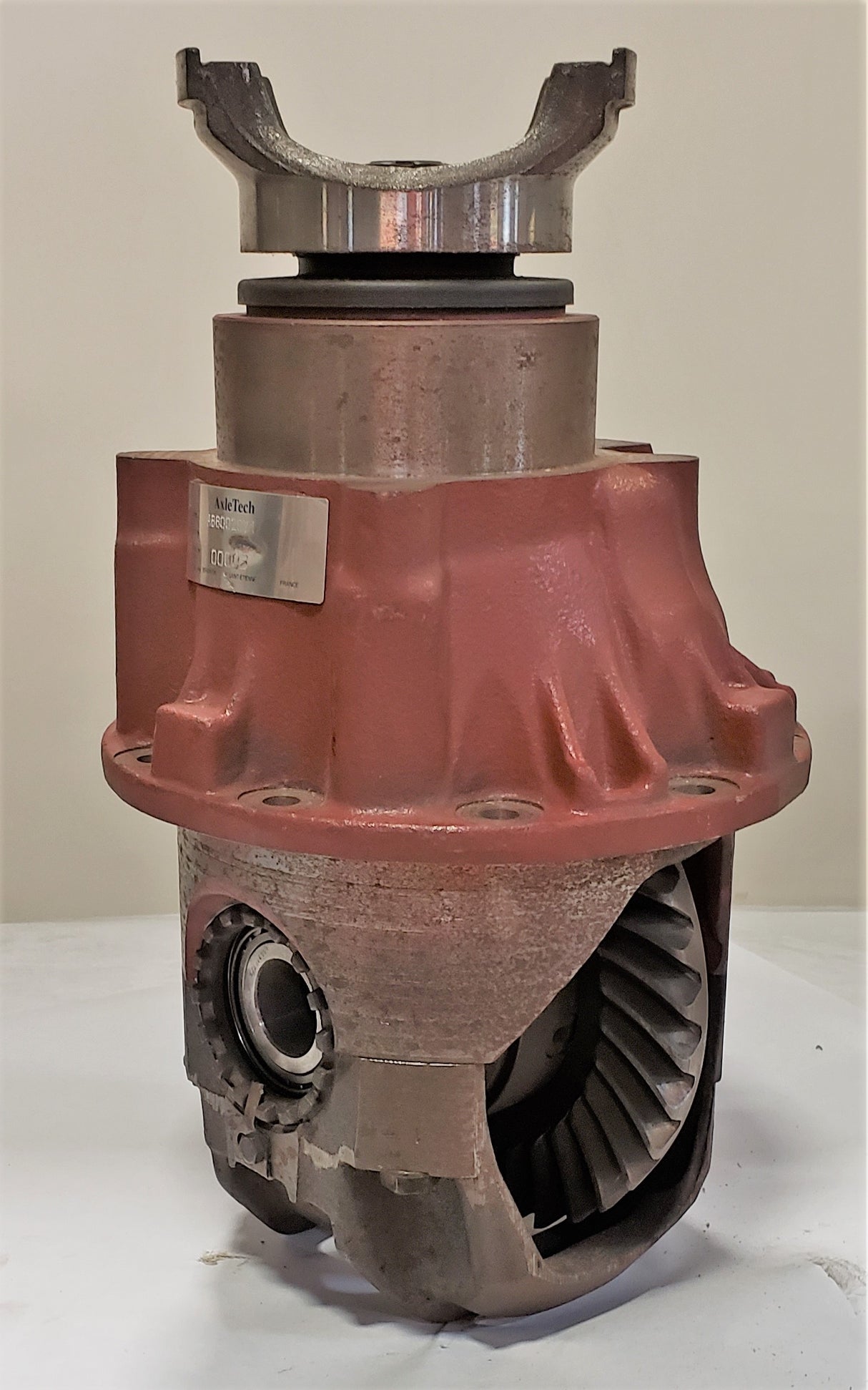 AXLETECH - SA86002071 - DIFF ASSM