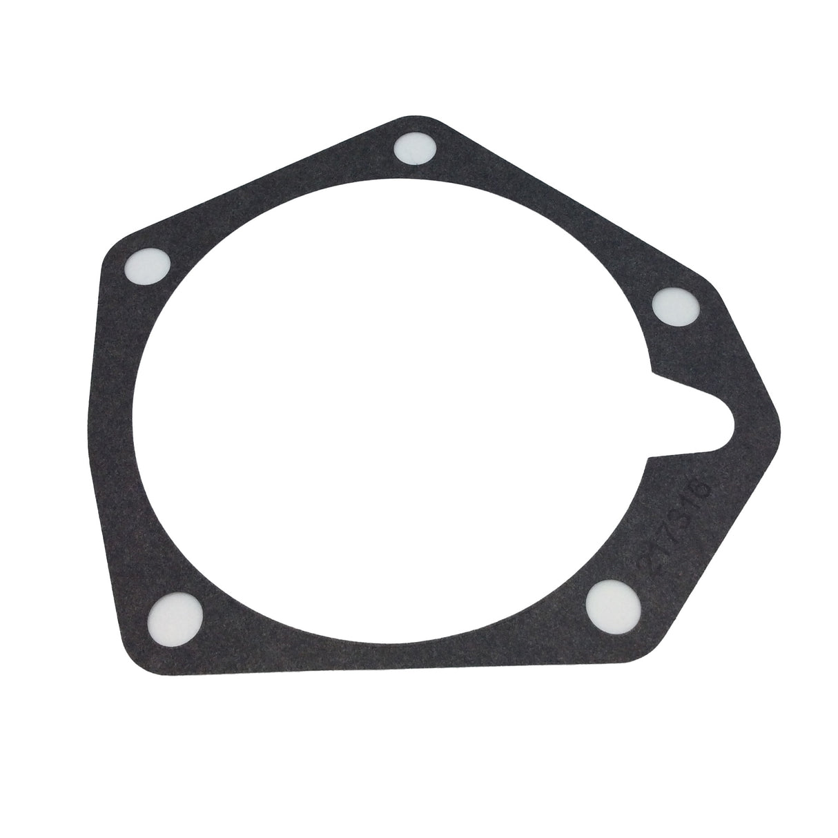 MINNPAR CLARK MICHIGAN - M0217316 - GASKET