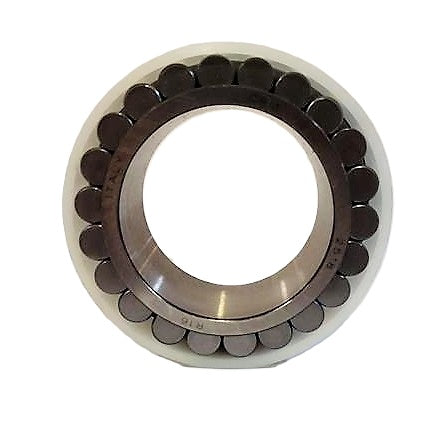 BLAW KNOX - 20301248 - CYLINDRICAL ROLLER BEARING-INNER & ROLLERS 50mm ID
