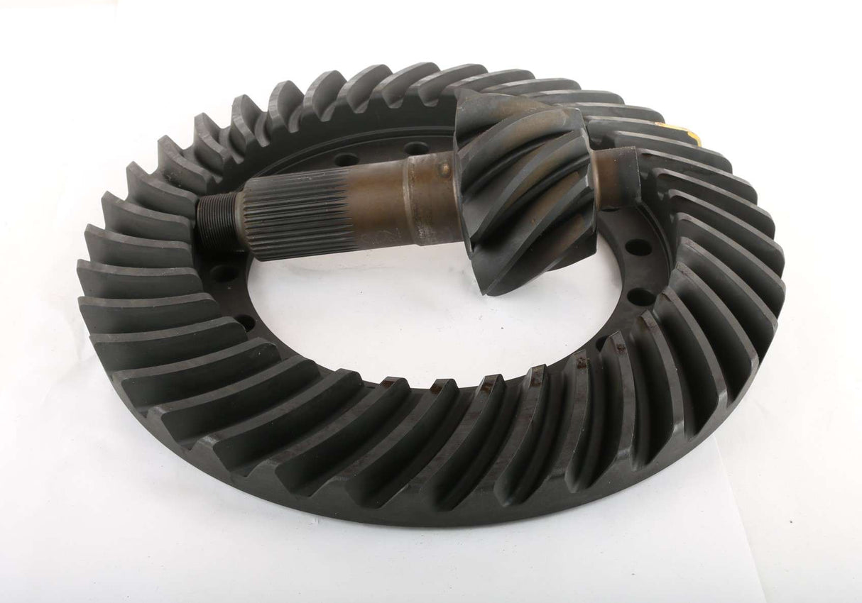 DANA SPICER - 131836 - GP131849-131820 4.11