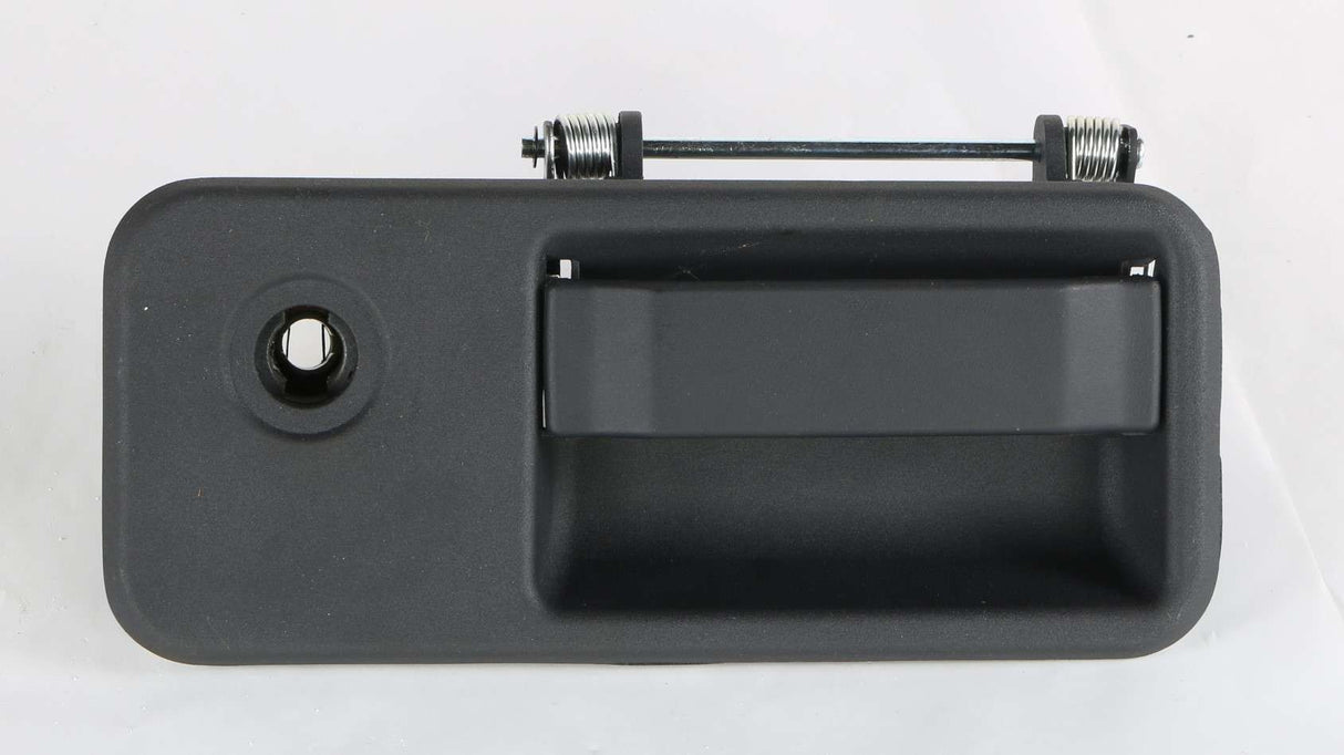 AUTOCAR - 20398466 - HANDLE