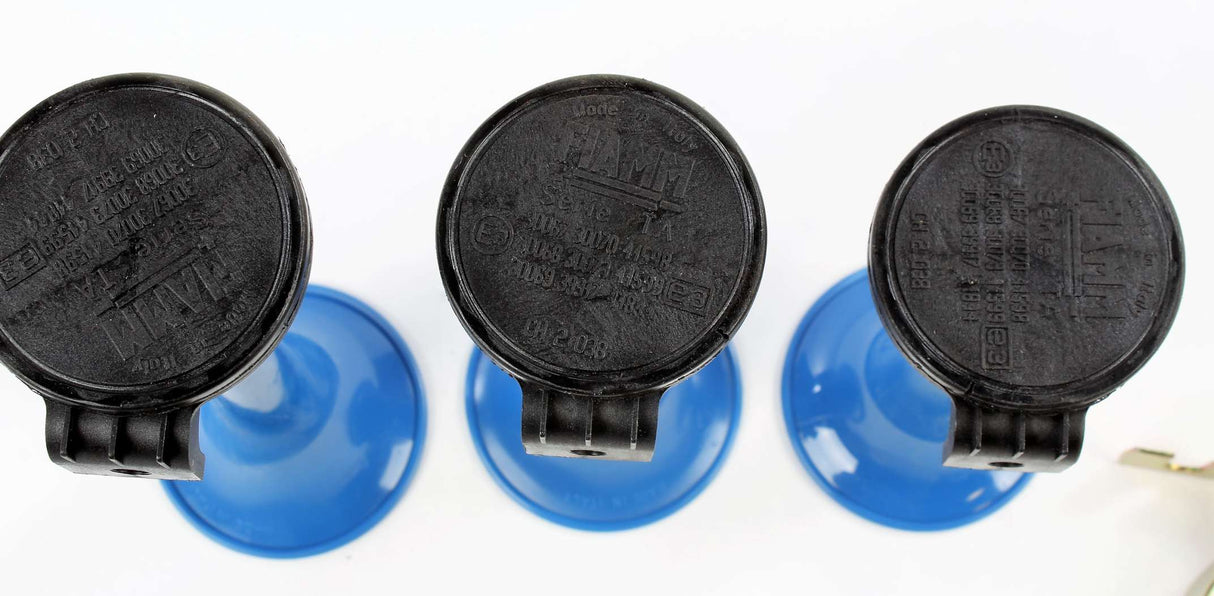 IWS - 3000-24V - FIAMM AIR HORN KIT