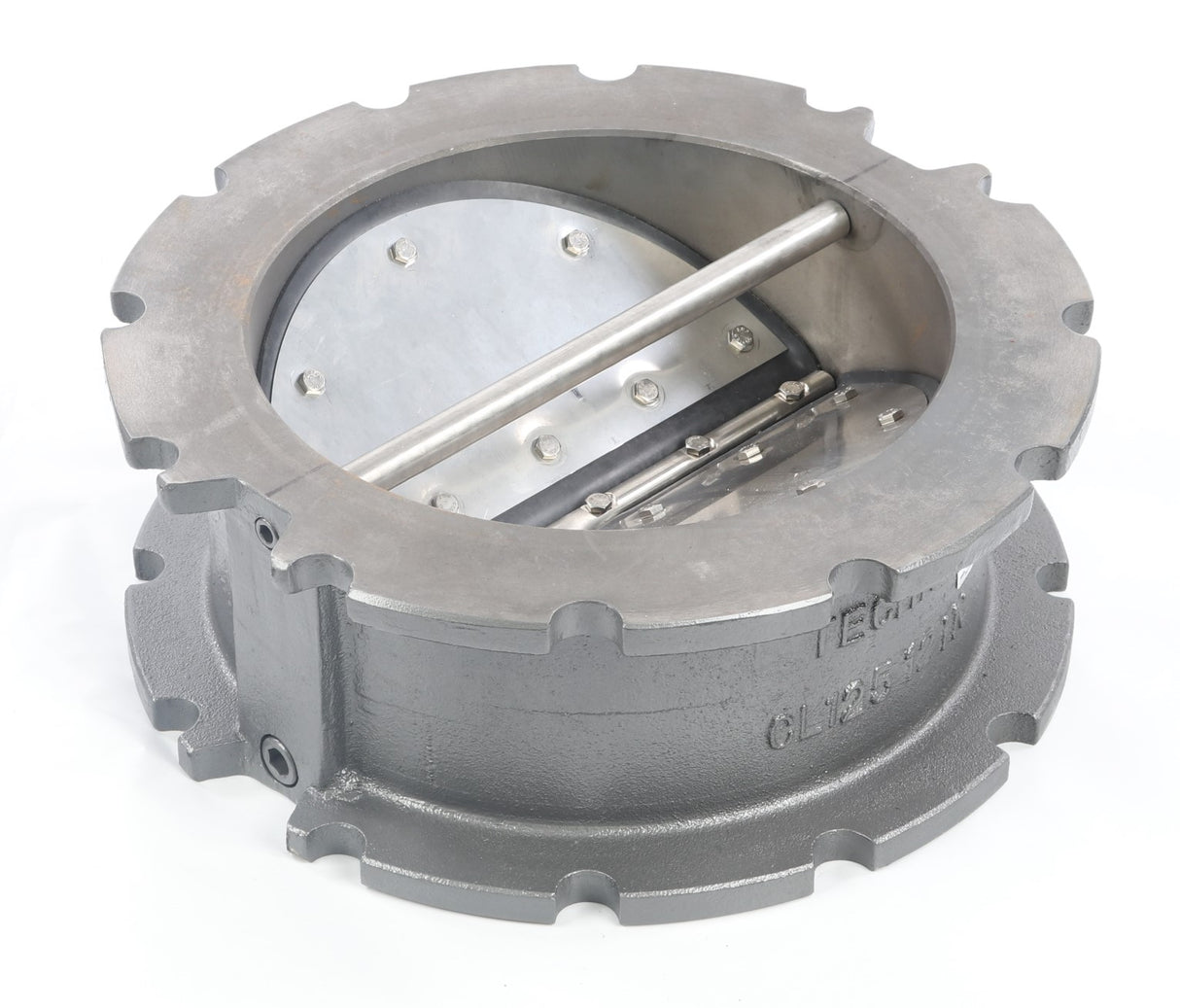 TECHNO - 12.-EHW-CI-36-V-NS-125-FF - 12in BUTTERFLY CHECK VALVE