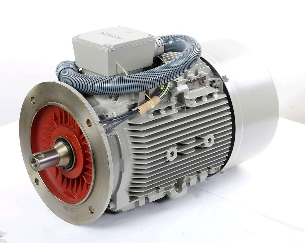SIEMENS - 1LA9189-2XA91-ZT23 - ELECTRIC MOTOR 30kW 690V 60Hz