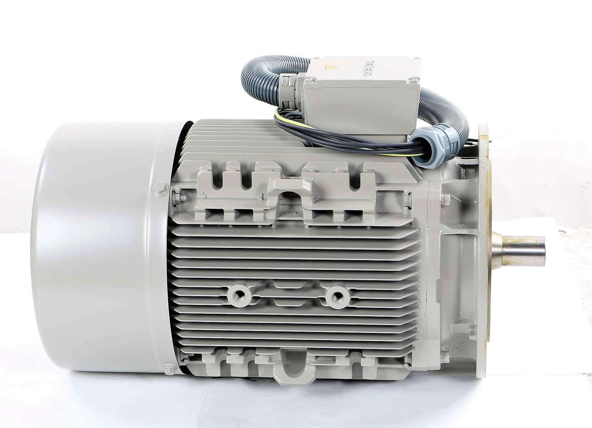 SIEMENS - 1LA9189-2XA91-ZT23 - ELECTRIC MOTOR 30kW 690V 60Hz