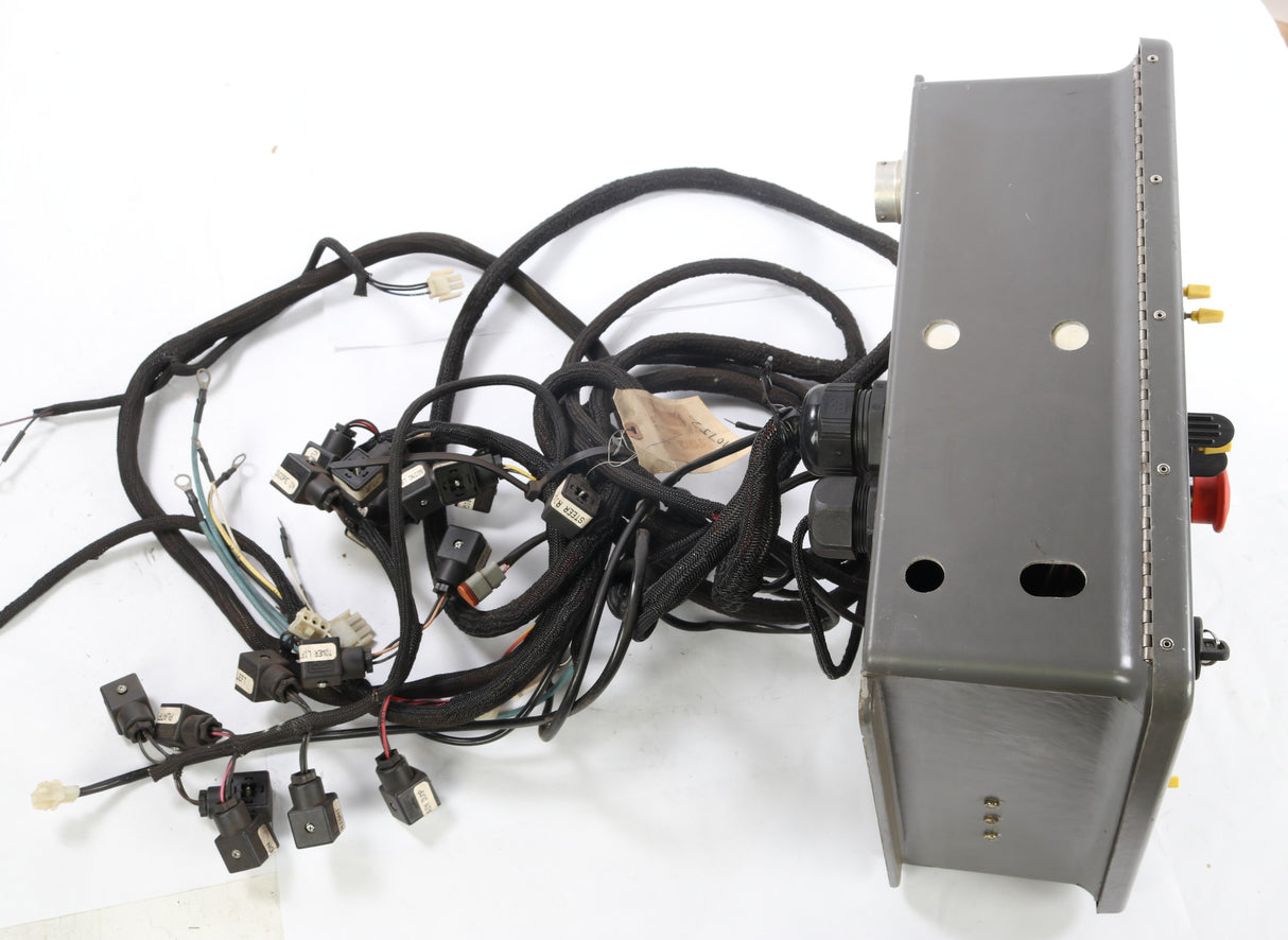 JLG - 1810066S - ELEC ASSYMTB CAT