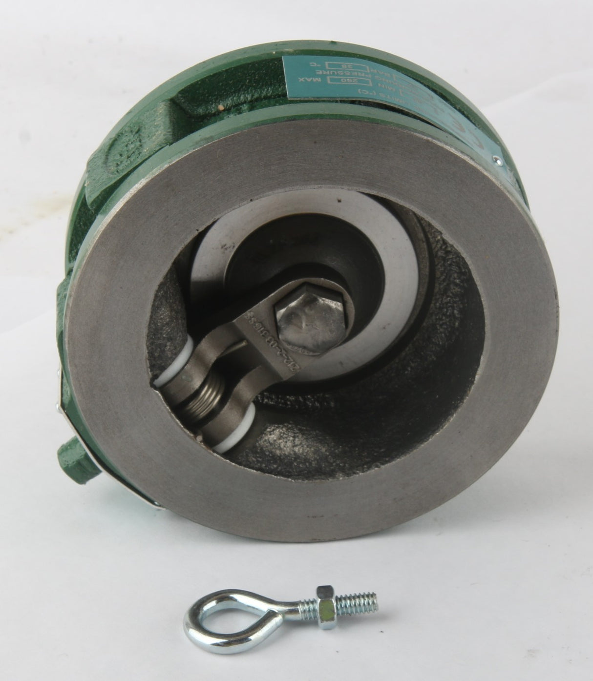 BRAY-RITE - C0315D17CE - CHECK VALVE - 3in PTFE 165 PSIG