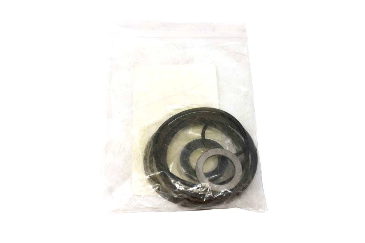 TEREX - 1100P391F1 - SEAL KIT (AA)