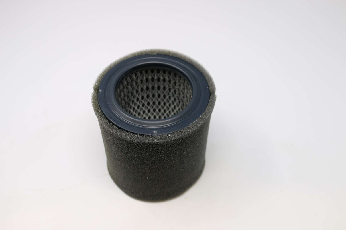 SOLBERG - 19P - 5 MICRON POLYESTER FILTER FOR COMPRESSOR