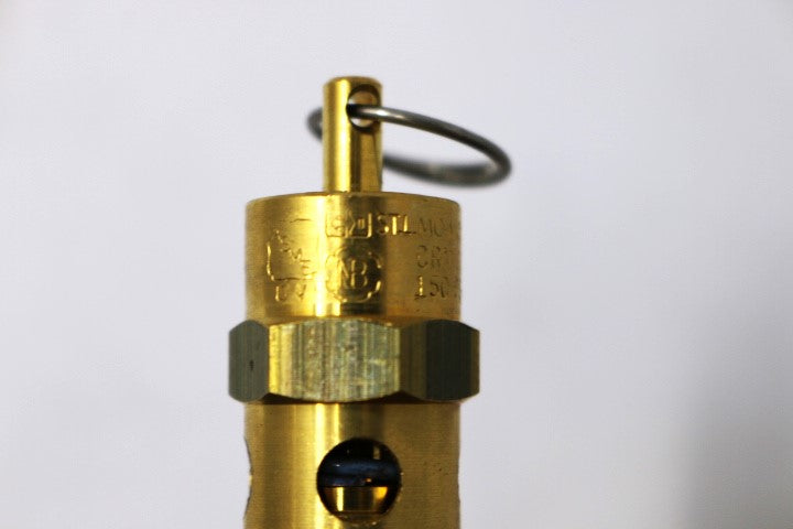 FLEXI-HINGE VALVE CO. (CONTROL DEVICES) - ST25-1A150 - RELIEF VALVE 1/4IN NPT 150PSI