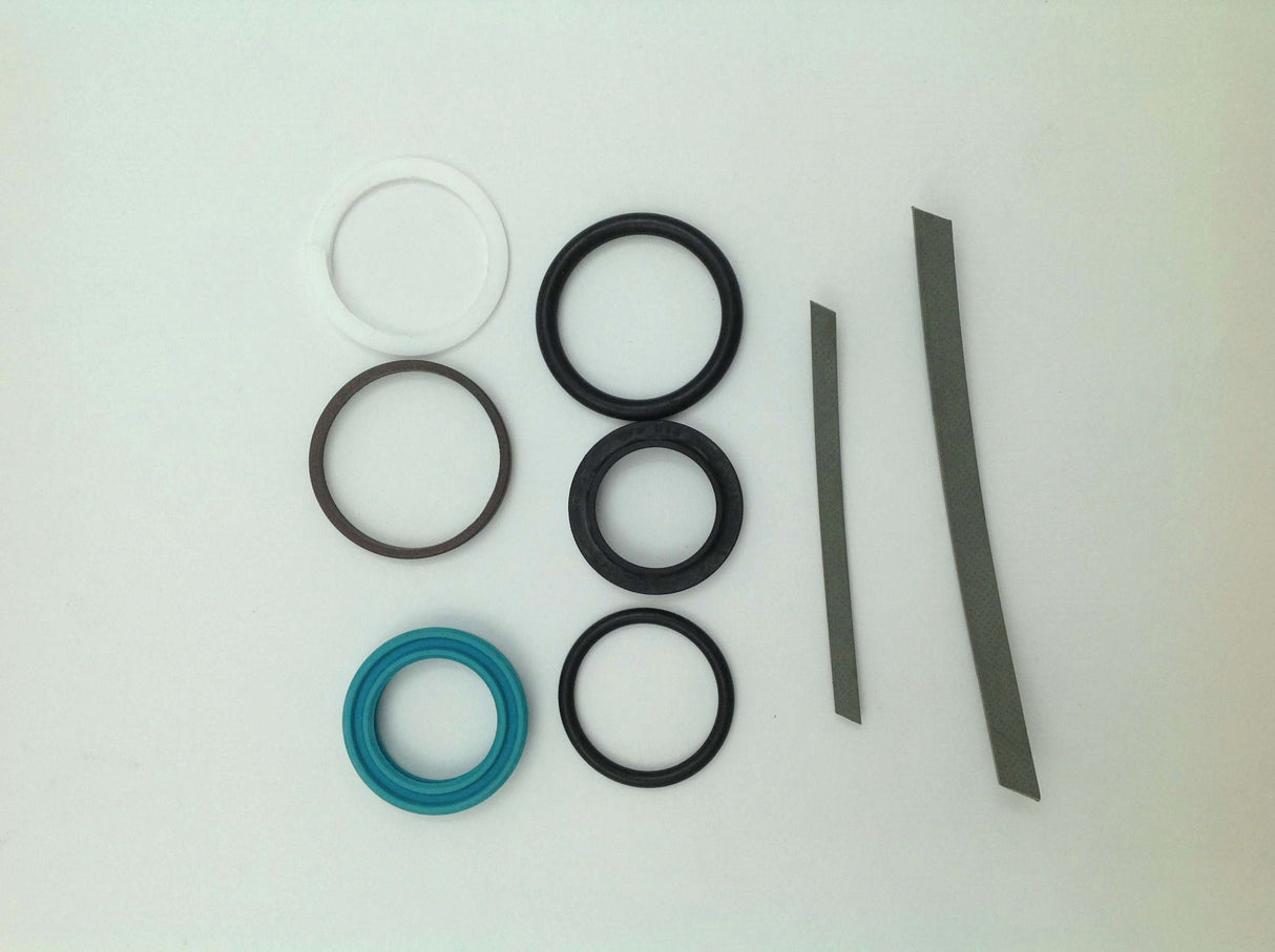 OLHYDRAULIK ALTENERDING (BUCHER) - D0816.00.000 - SEAL KIT