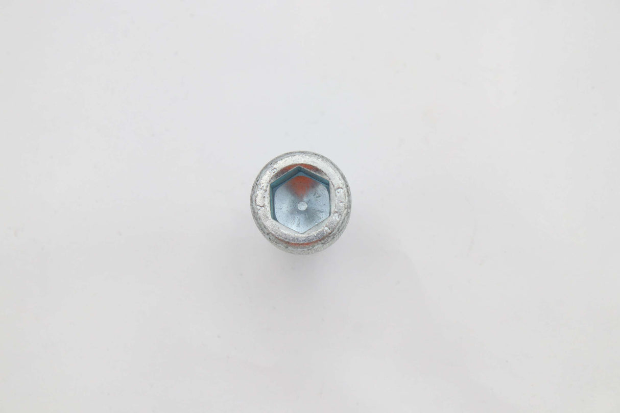 FASTENAL - 0135980 - SCREW CAP HEXS ZP M14x22