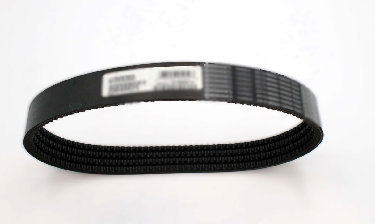SCHWARZE - 29654 - BELT