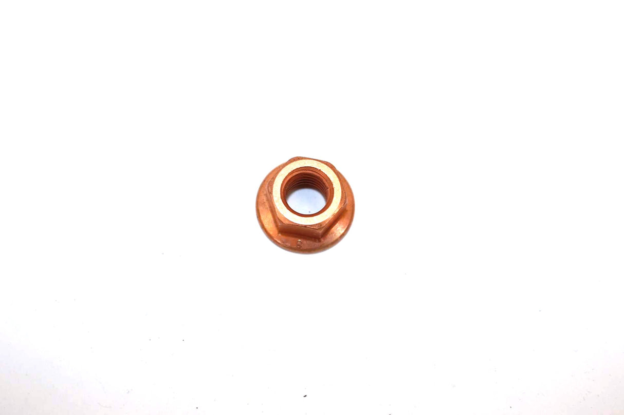 NAVISTAR - 06112290023 - HEXAGON NUT 10 PACK