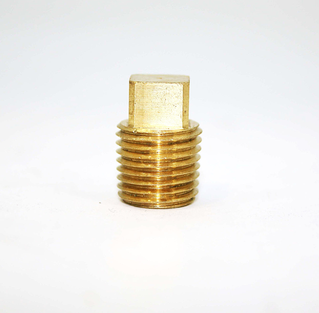 SCHWARZE - 21265 - PLUG - 1/4in NPT SQUARE HEAD