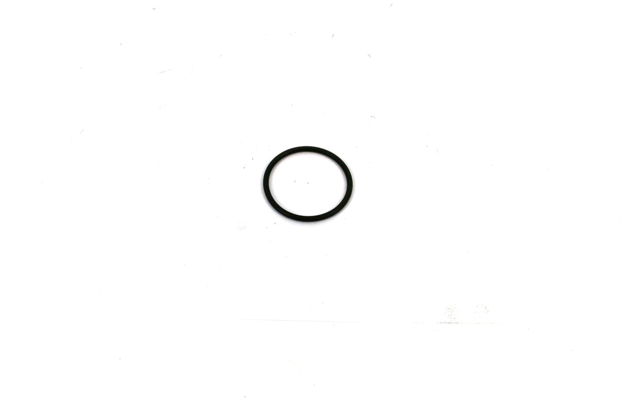 CUMMINS - 3089019 - O-RING