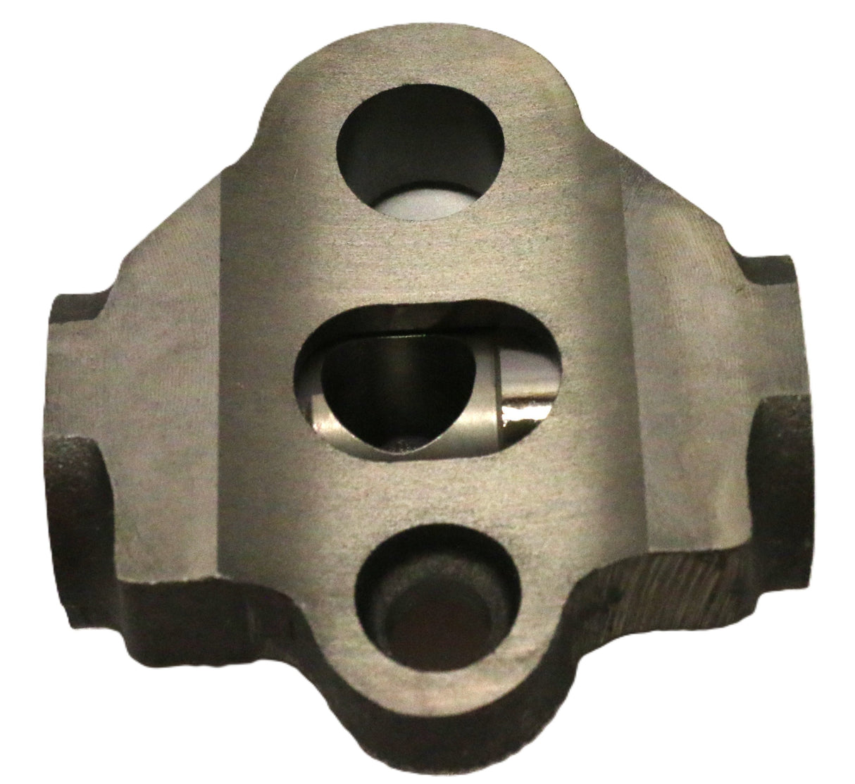 DELPHI - 7123-819EF-12B1 - PISTON AND HOUSING