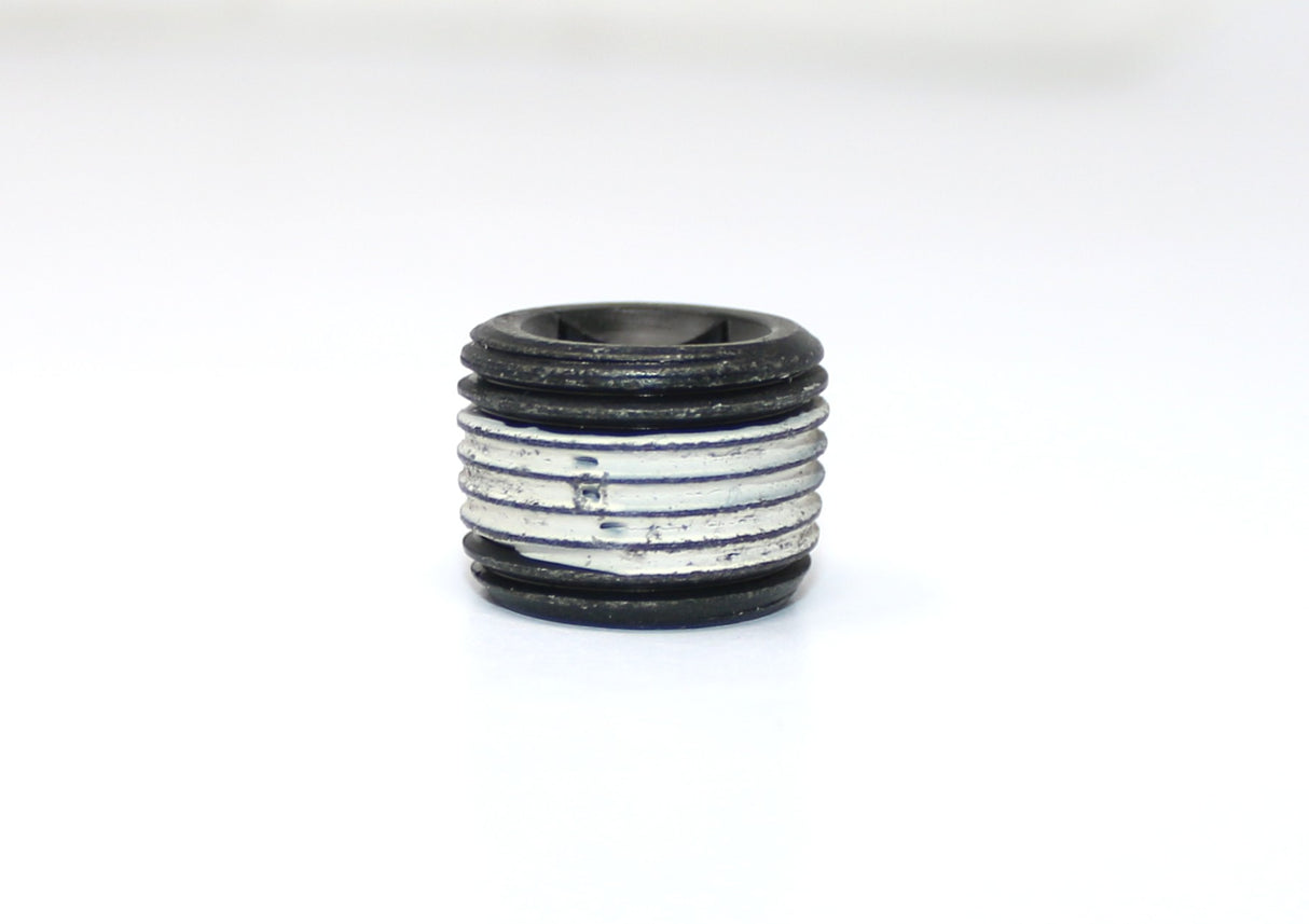 DANA SPICER - 10177509 - PLUG