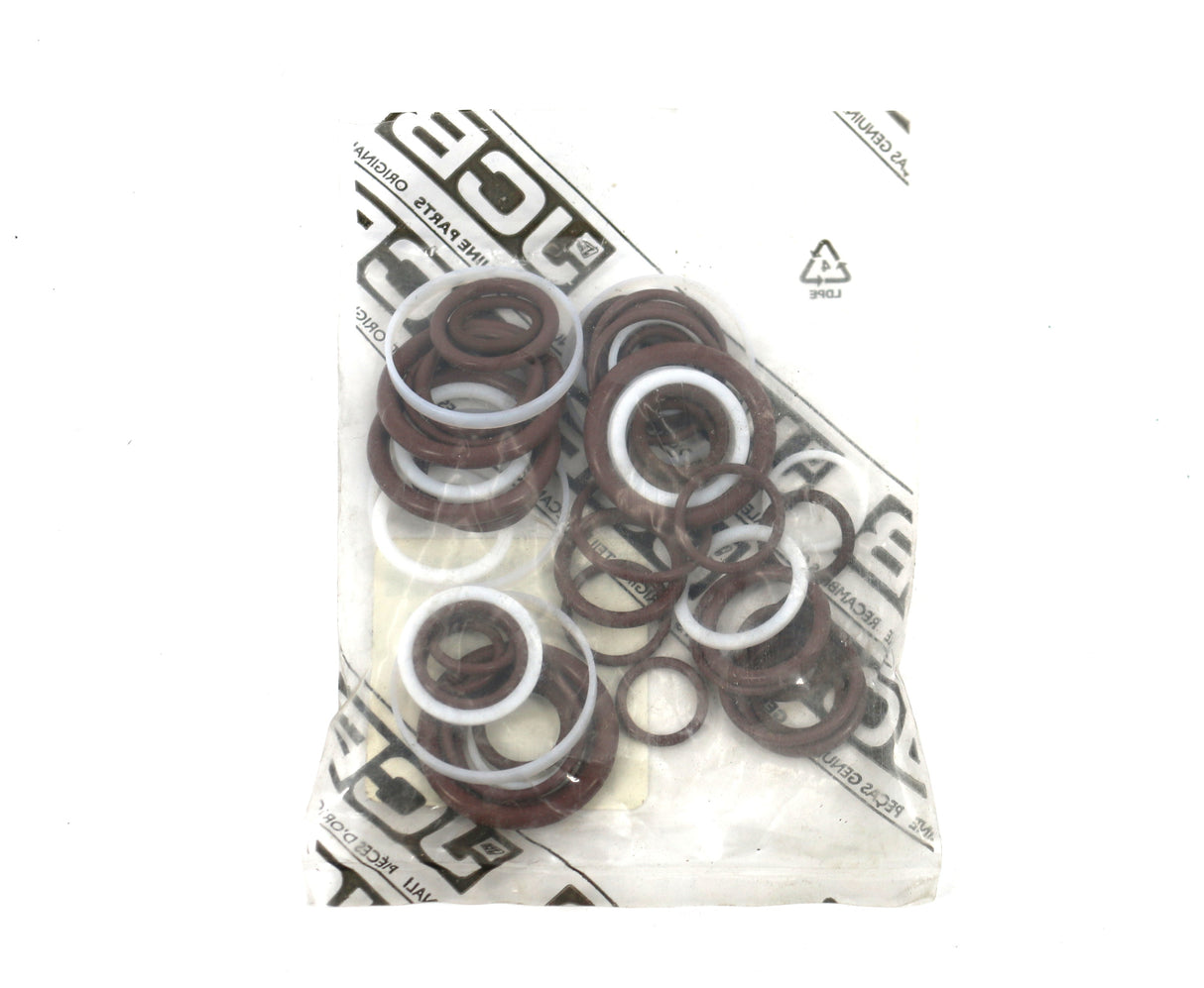 JCB - 334/D4851 - SEAL KIT