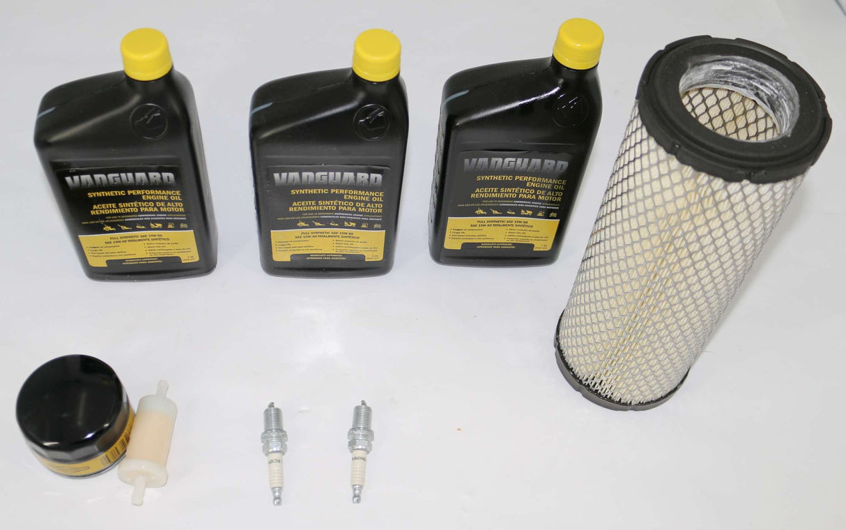 BRIGGS & STRATTON - 84002315 - TUNE-UP KIT